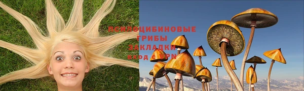 гидропоника Алзамай
