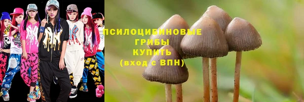мяу мяу мука Алексеевка